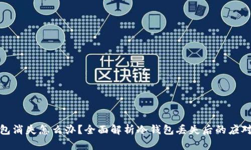 冷钱包消失怎么办?全面解析冷钱包丢失后的应对策略