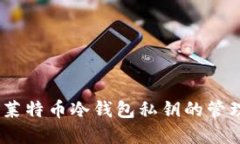 完整解读：莱特币冷钱包私钥的管理与安全性