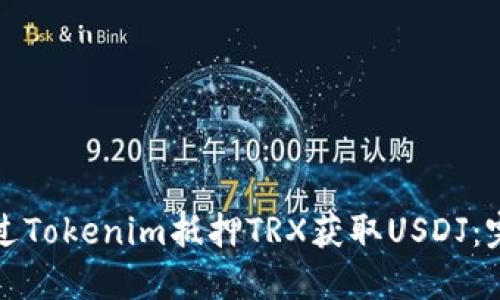 如何通过Tokenim抵押TRX获取USDJ：完整指南