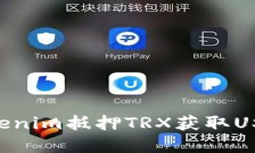 如何通过Tokenim抵押TRX获取USDJ：完整指南
