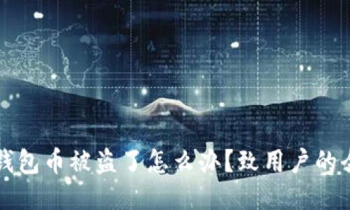 我的冷钱包币被盗了怎么办?致用户的全面指南