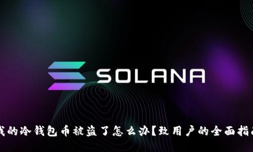 我的冷钱包币被盗了怎么办?致用户的全面指南