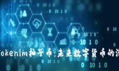 全面解析Tokenim柚子币：未来数字货币
