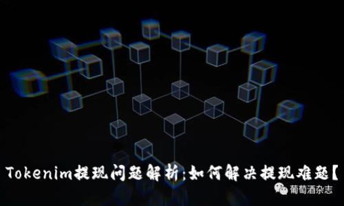 Tokenim提现问题解析:如何解决提现难题?