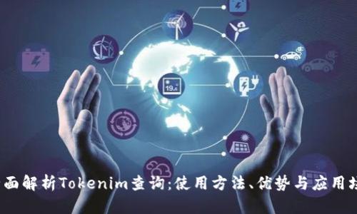 全面解析Tokenim查询:使用方法、优势与应用场景