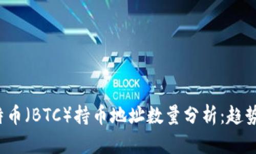 2023年比特币(BTC)持币地址数量分析:趋势与未来展望