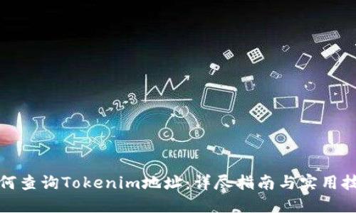 如何查询Tokenim地址:详尽指南与实用技巧