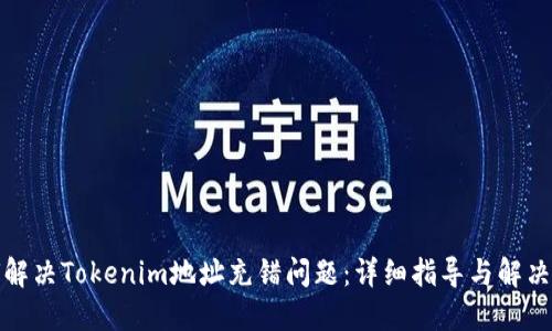 如何解决Tokenim地址充错问题:详细指导与解决方案