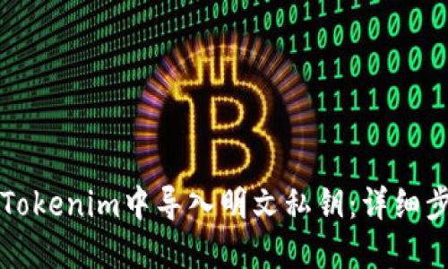 如何在Tokenim中导入明文私钥:详细步骤指南