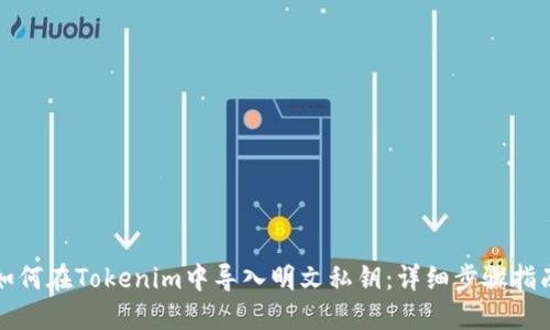 如何在Tokenim中导入明文私钥:详细步骤指南