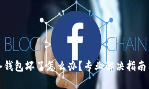 数字货币冷钱包坏了怎么办?专业解决指南与注意事项