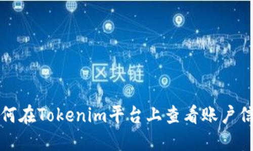 如何在Tokenim平台上查看账户信息