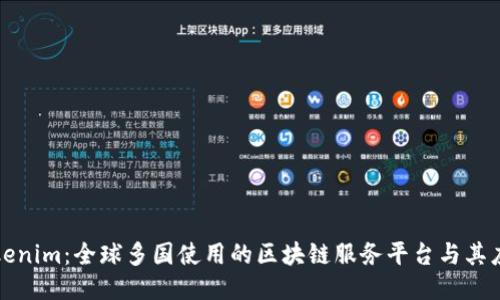 Tokenim:全球多国使用的区块链服务平台与其应用