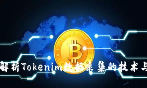 全面解析Tokenim数据采集的技术与应用