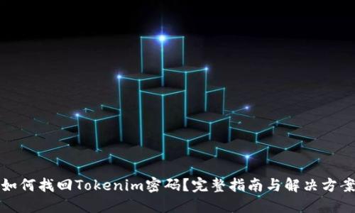 如何找回Tokenim密码?完整指南与解决方案