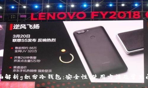 全面解析g积分冷钱包：安全性、使用方法及常见问题