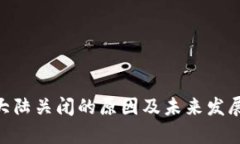 Tokenim大陆关闭的原因及未来发展趋势