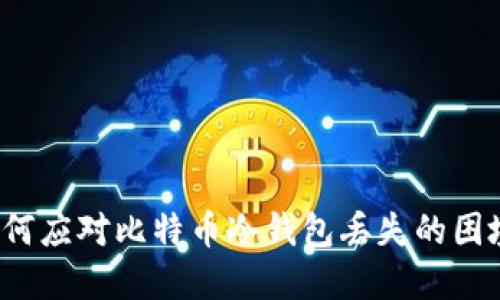 如何应对比特币冷钱包丢失的困境?
