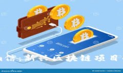 深入解析Tokenim信：新兴区块链项目的