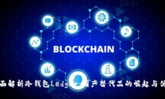 《全面解析冷钱包Ledger：国产替代品的
