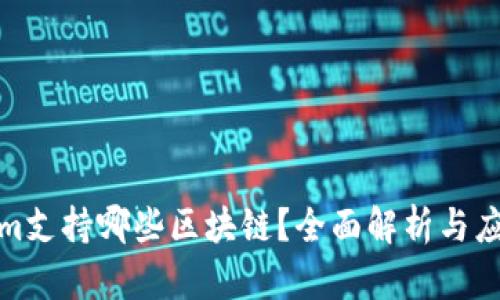 Tokenim支持哪些区块链?全面解析与应用前景