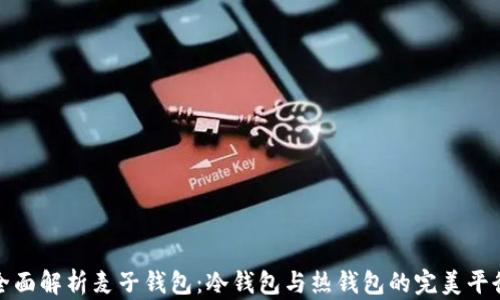 全面解析麦子钱包:冷钱包与热钱包的完美平衡