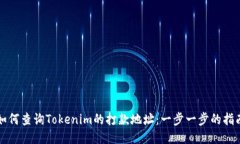 如何查询Tokenim的打款地址：一步一步
