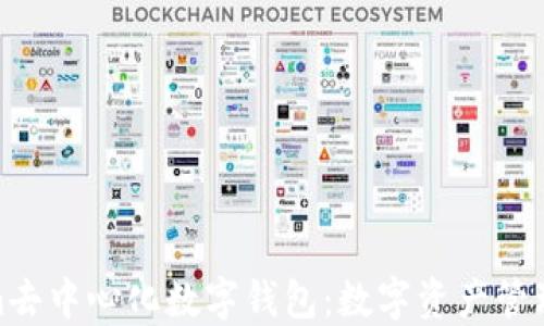 
探索Tokenim去中心化数字钱包：数字资产管理的未来之路