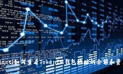 fiaoti如何查看TokenIM钱包地址的余额和资产