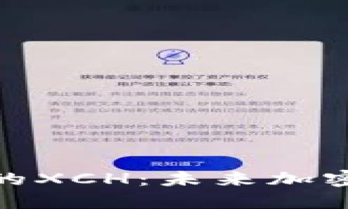 揭秘Tokenim的XCH:未来加密市场中的新星
