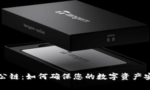 冷钱包与公链:如何确保您的数字资产安全与隐私