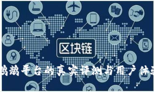 币圈鹦鹉平台的真实评测与用户体验分析