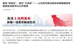 如何选择合适的Tokenim钱包：币种相似