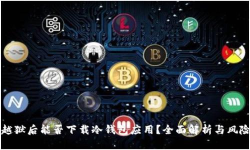 苹果越狱后能否下载冷钱包应用？全面解析与风险评估