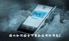 国内如何安全下载和使用冷钱包？