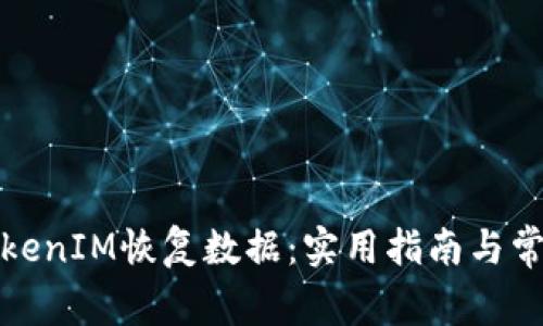 如何通过TokenIM恢复数据:实用指南与常见问题解答