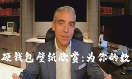 超高清冷钱包与硬钱包壁纸欣赏：为你的数字资产保驾护航