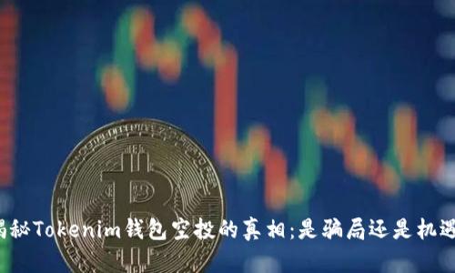 揭秘Tokenim钱包空投的真相:是骗局还是机遇?