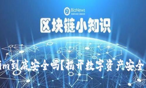 Tokenim到底安全吗?揭开数字资产安全的面纱