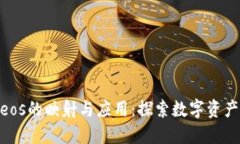 Tokenimeos的映射与应用：探索数字资产