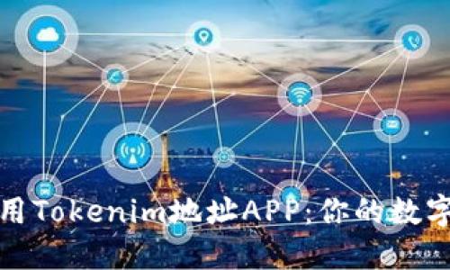 如何安全地使用Tokenim地址APP:你的数字资产管理工具