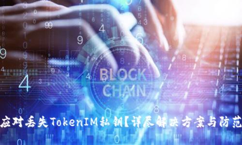 如何应对丢失TokenIM私钥?详尽解决方案与防范措施