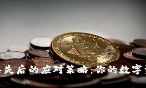 imotken冷钱包丢失后的应对策略:你的数字资产如何安全无忧