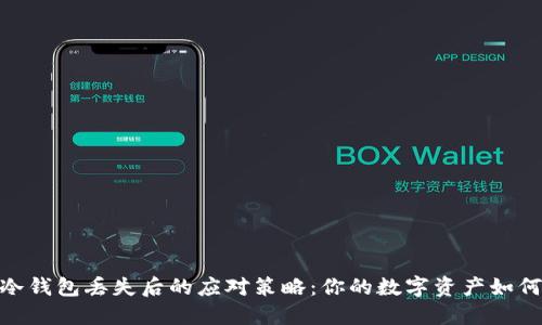 imotken冷钱包丢失后的应对策略:你的数字资产如何安全无忧