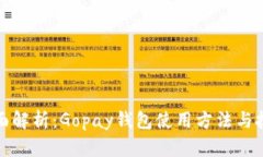 全面解析：Gopay钱包使用方法与技巧