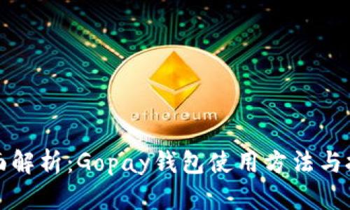 全面解析:Gopay钱包使用方法与技巧