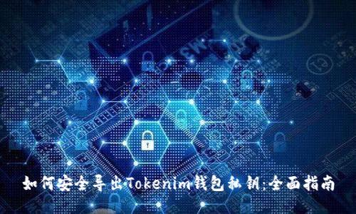 如何安全导出Tokenim钱包私钥:全面指南