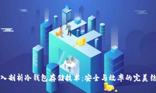 深入剖析冷钱包存储技术:安全与效率的完美结合
