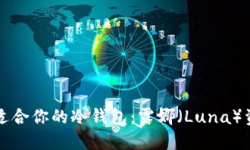 如何选择最适合你的冷钱包:露娜(Luna)资产安全指南
