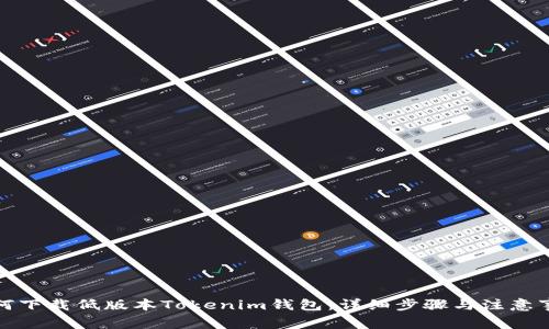 如何下载低版本Tokenim钱包:详细步骤与注意事项